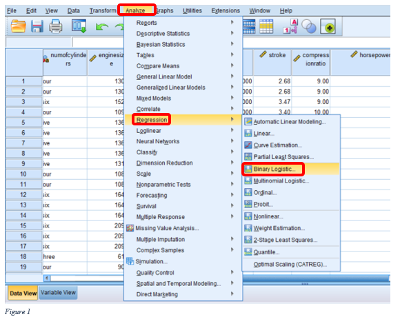 Machine Learning Logistic Regression - SPSS