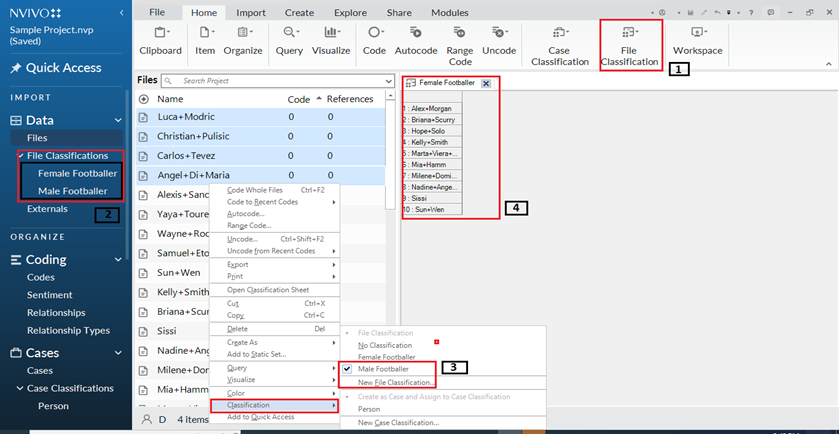 Nvivo importing data