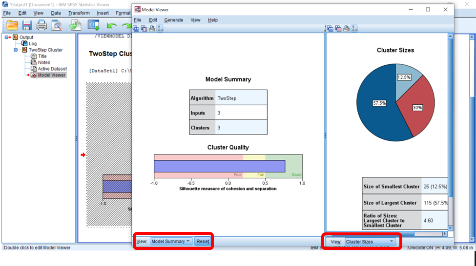 Model Viewer - SPSS