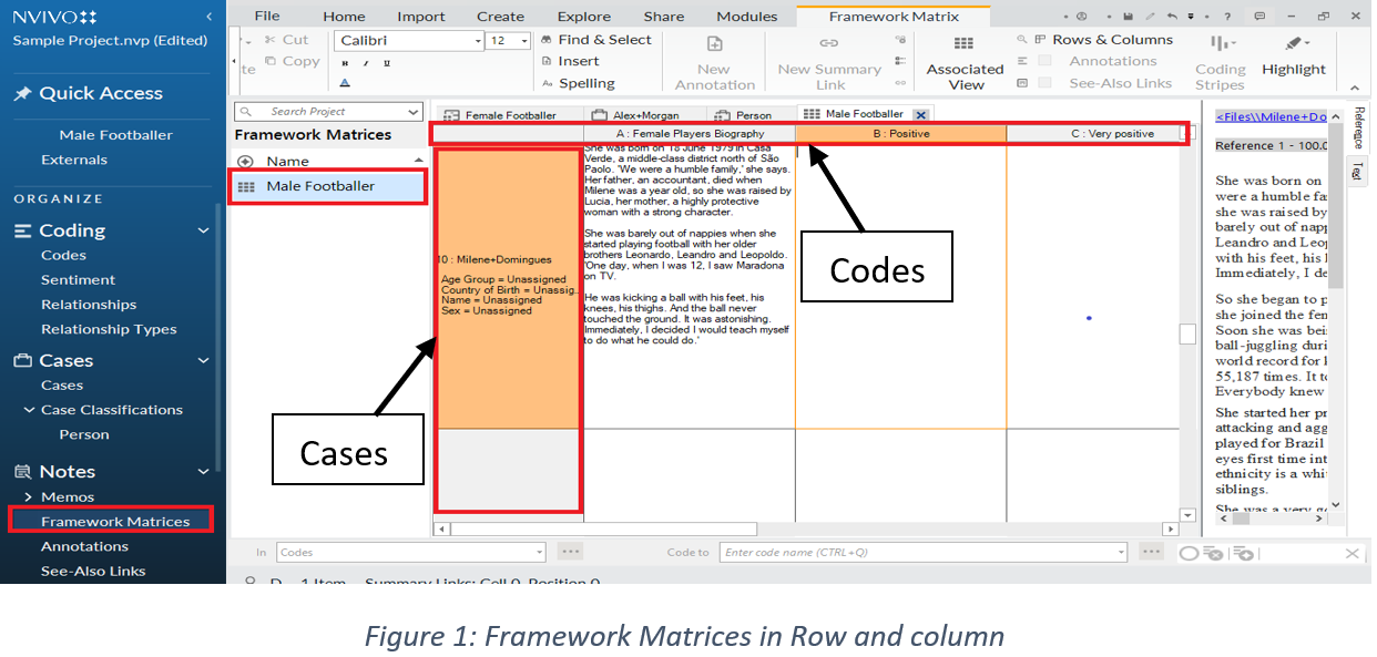 NVivo Qualitative Analysis