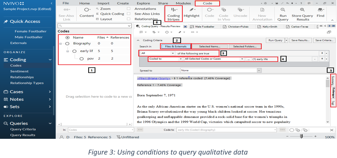 NVivo Qualitative Analysis