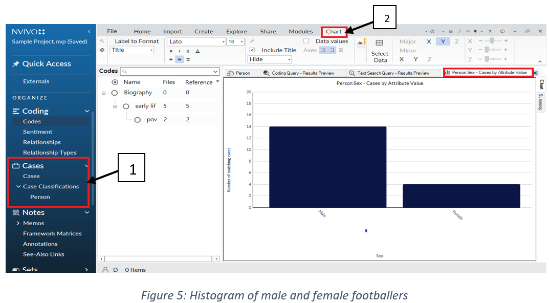 NVivo Qualitative Analysis